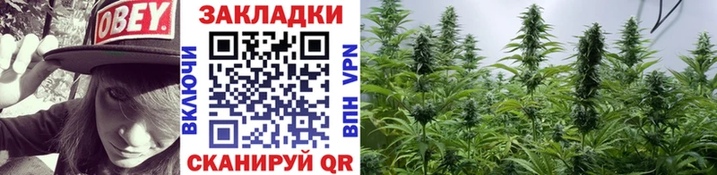 Купить наркотики Малоархангельск Амфетамин  МЕФ  ГАШ  Псилоцибиновые грибы  omg ссылка  Альфа ПВП 